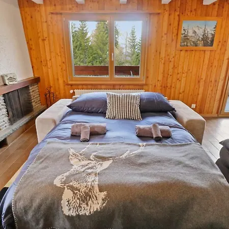Magnifique Au Coeur Des 4 Vallees Appartement